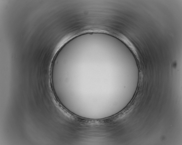 X0000090911002200707301029