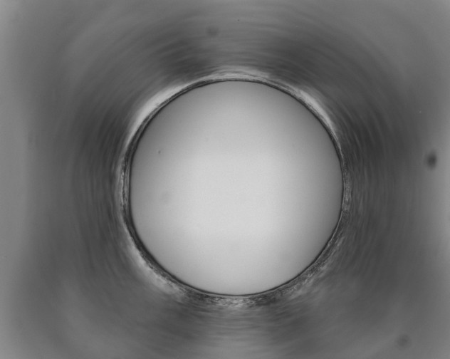 X0000090911003200707301029