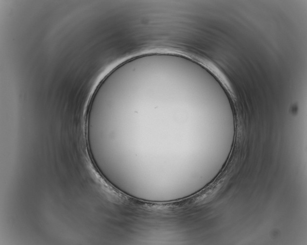 X0000090911004200707301029