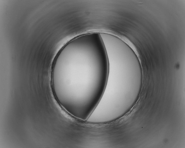 X0000090911005200707301029