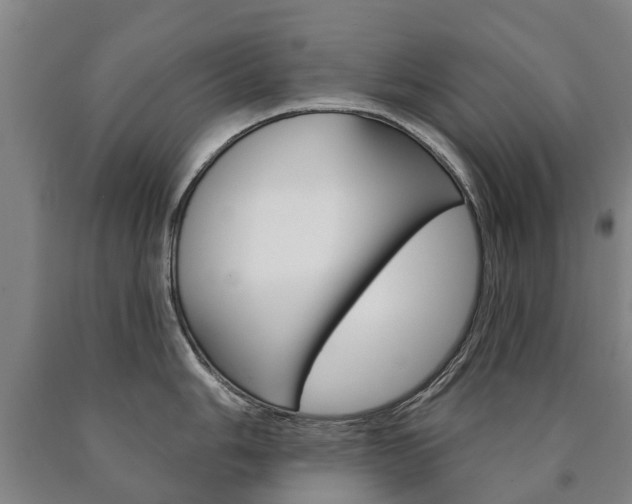 X0000090911006200707301029