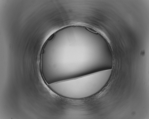 X0000090911007200707301029