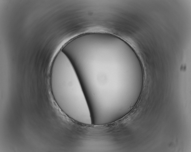 X0000090911008200707301029
