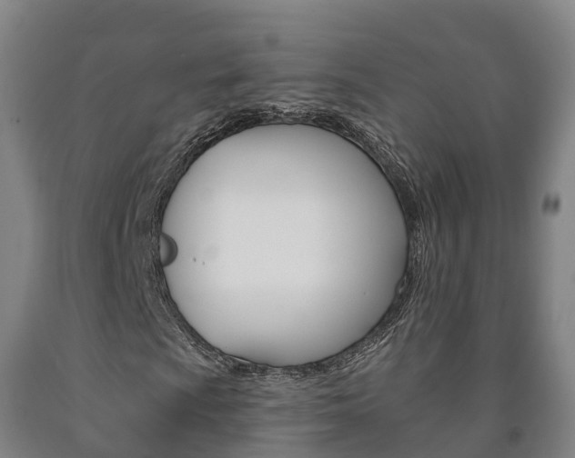 X0000090911009200707301028