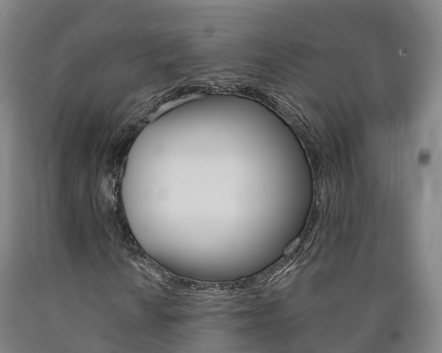 X0000090911010200707301028