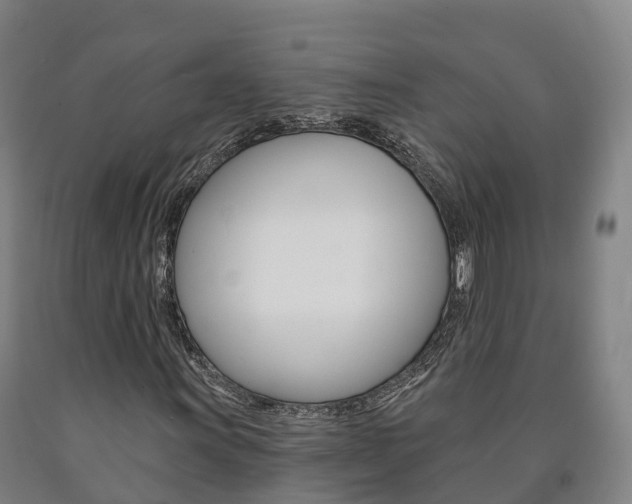 X0000090911011200707301028