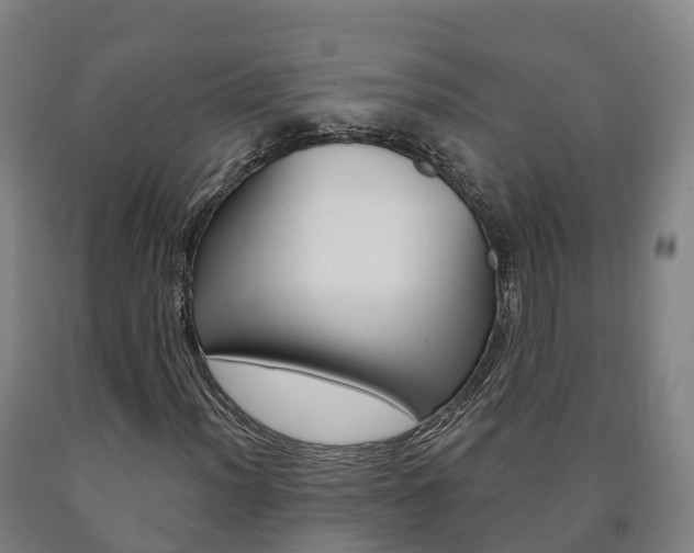 X0000090911012200707301028