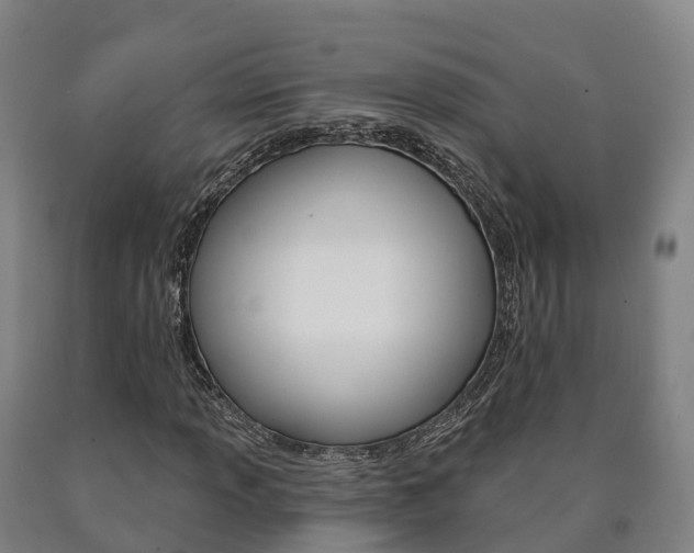 X0000090911013200707301028