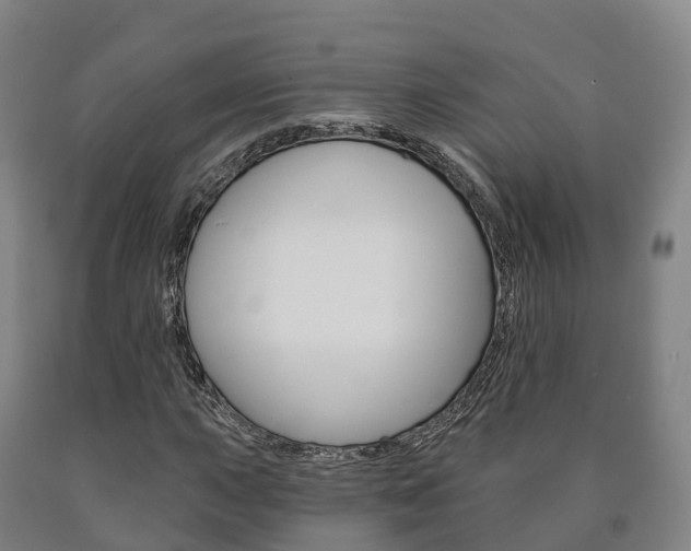 X0000090911015200707301028