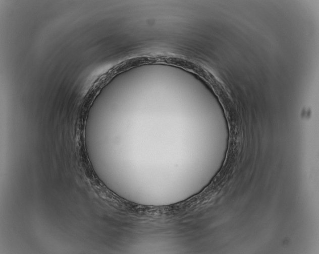 X0000090911016200707301028