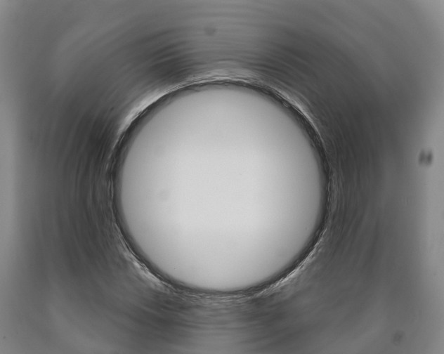 X0000090911018200707301028