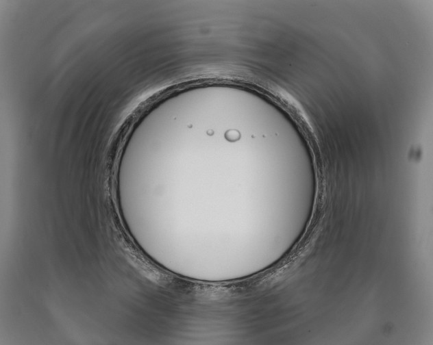X0000090911019200707301028