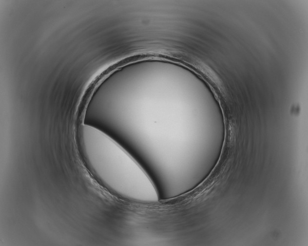 X0000090911020200707301028