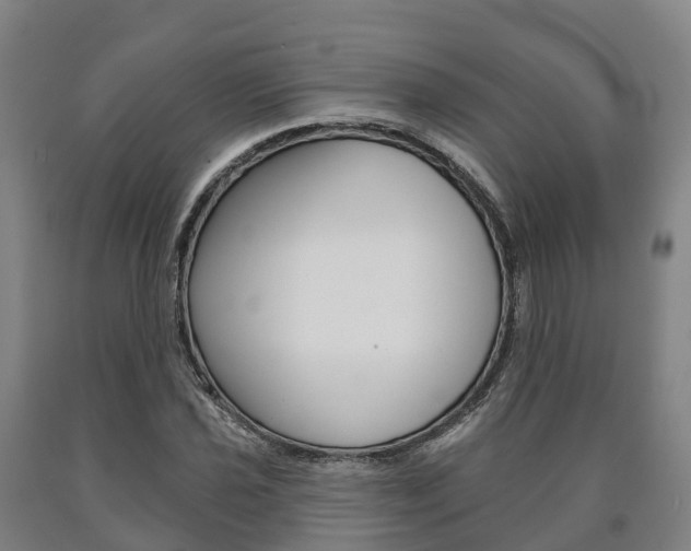 X0000090911021200707301028