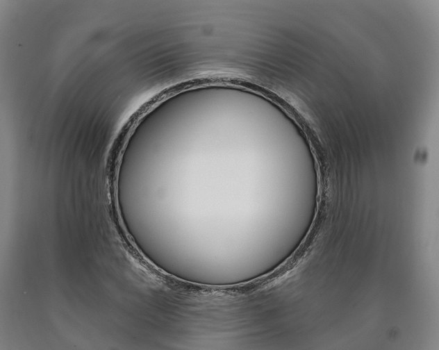 X0000090911022200707301028