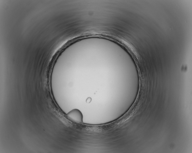 X0000090911023200707301028