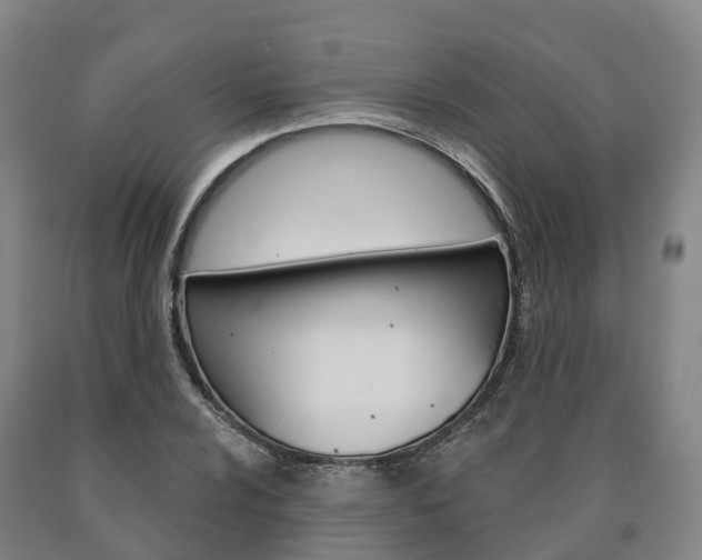 X0000090911024200707301028