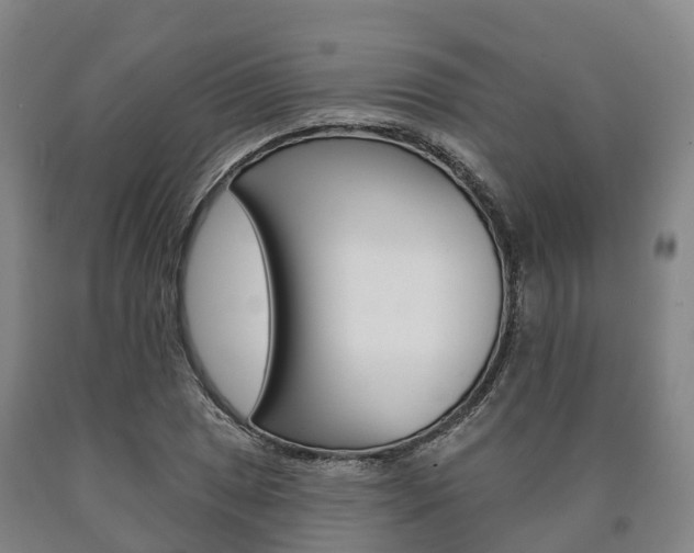 X0000090911025200707301028
