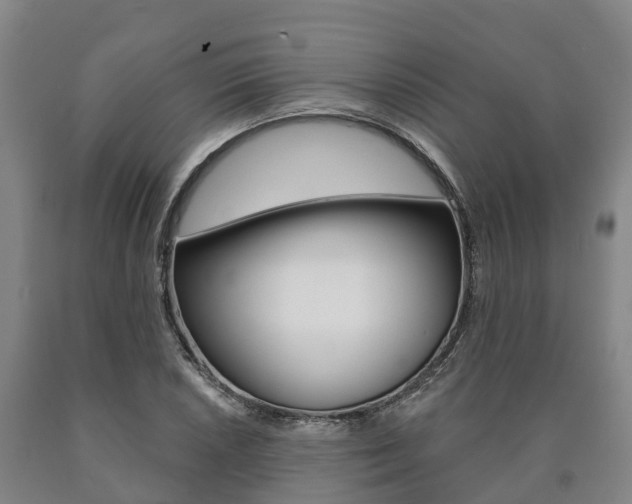 X0000090911026200707301028