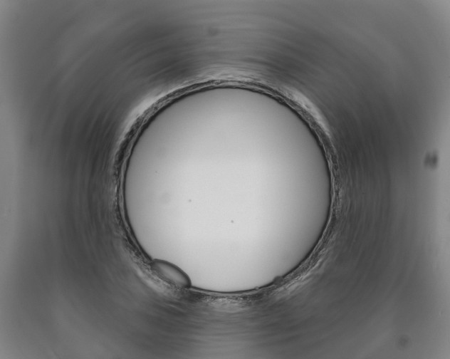 X0000090911027200707301028