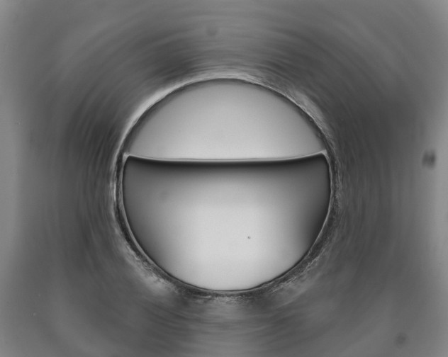 X0000090911028200707301028
