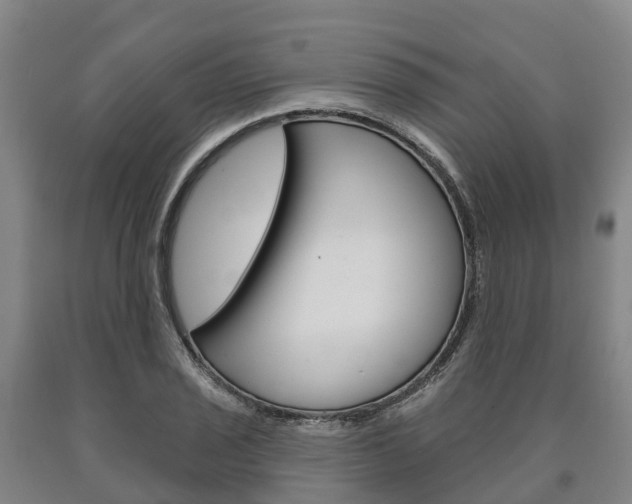 X0000090911029200707301028