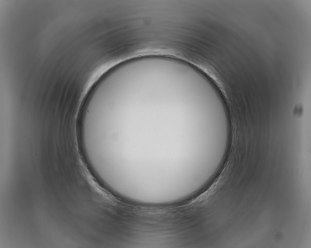 X0000090911030200707301028