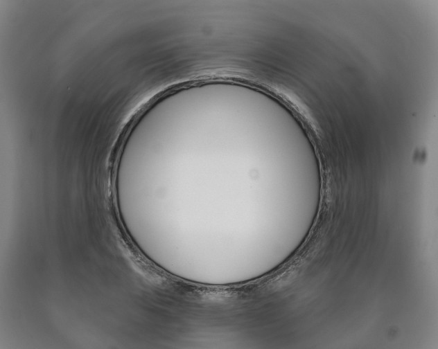 X0000090911031200707301028