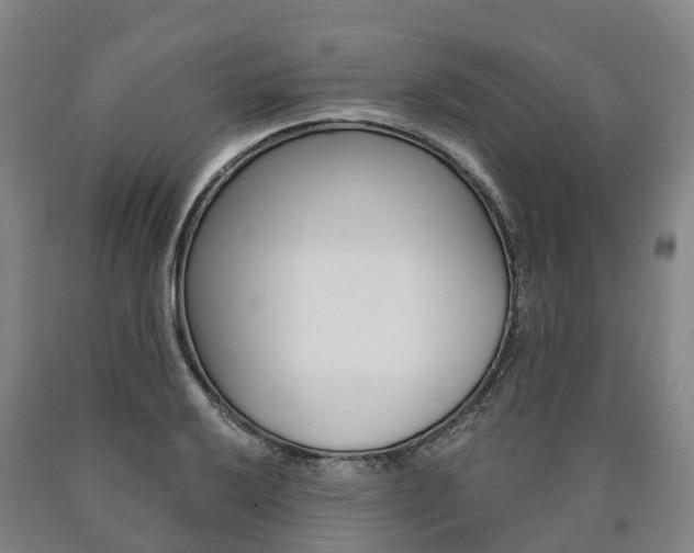 X0000090911032200707301028