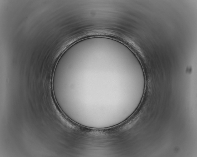 X0000090911033200707301028