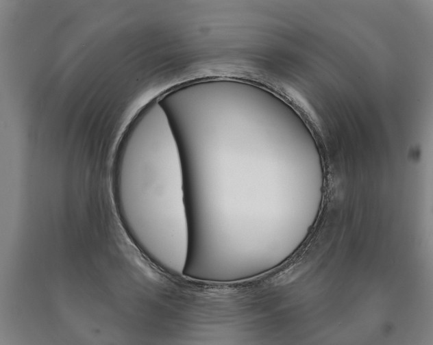 X0000090911035200707301028