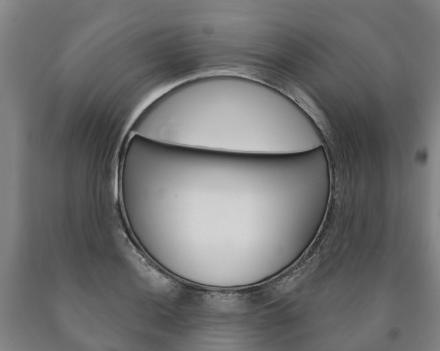 X0000090911036200707301028