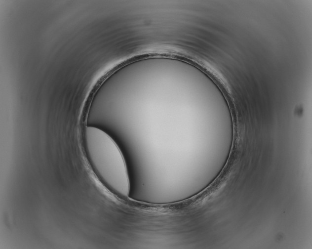 X0000090911037200707301028