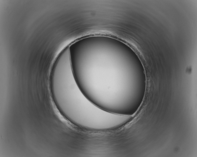 X0000090911038200707301028