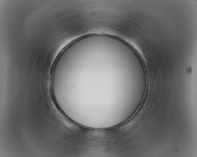 X0000090911040200707301029