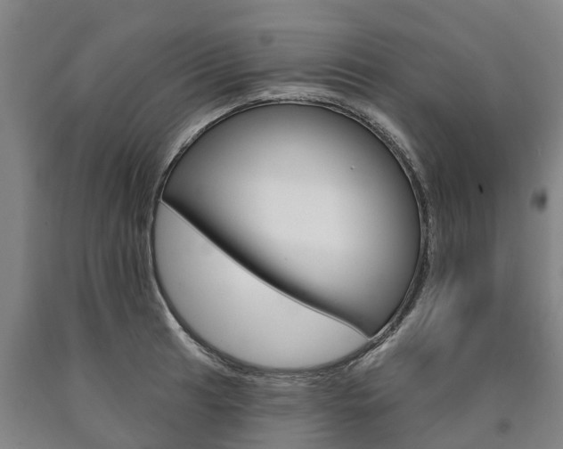 X0000090911041200707301029