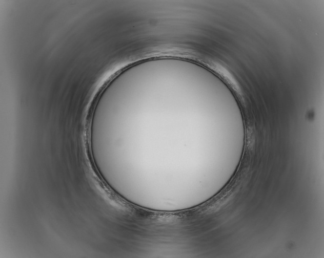 X0000090911043200707301029