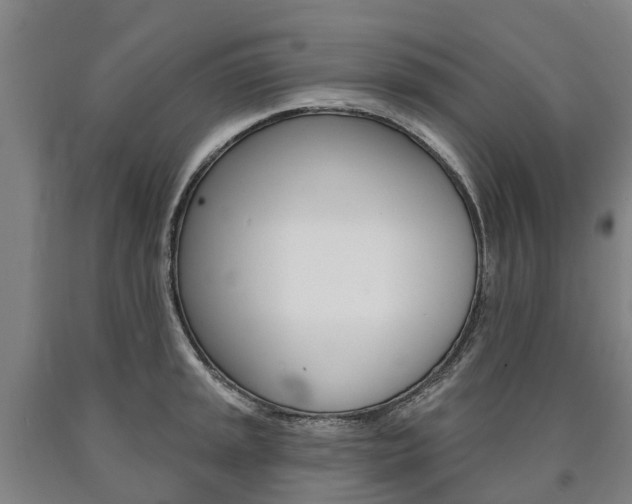 X0000090911045200707301029