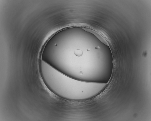 X0000090911046200707301029