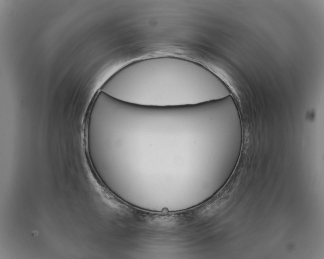 X0000090911047200707301029