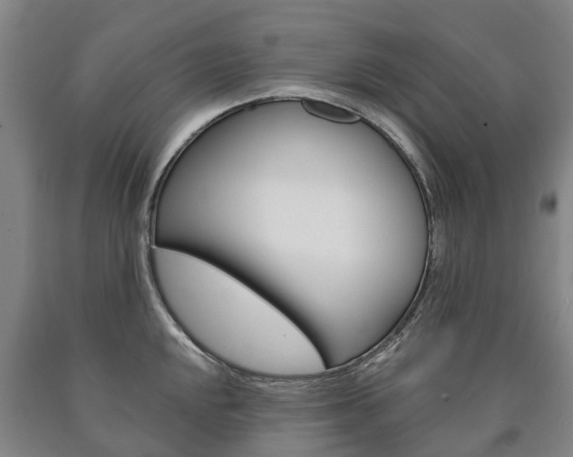 X0000090911048200707301029