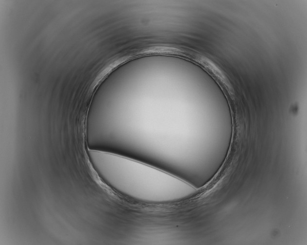 X0000090911049200707301029