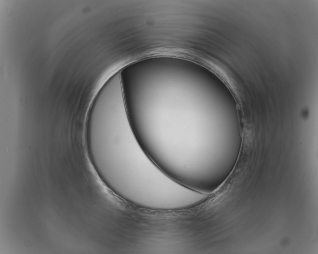 X0000090911050200707301029
