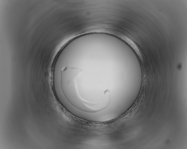 X0000090911051200707301029