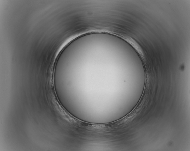X0000090911052200707301029
