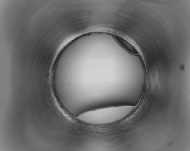 X0000090911053200707301029
