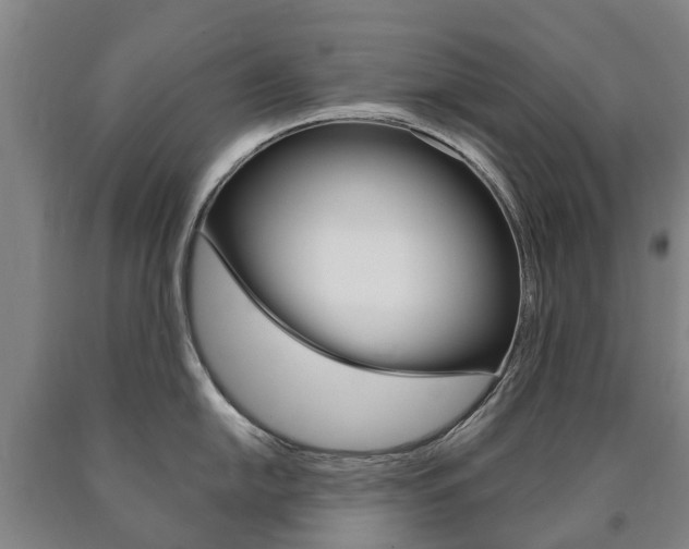 X0000090911054200707301029