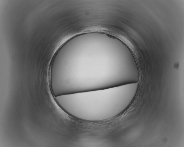 X0000090911055200707301029