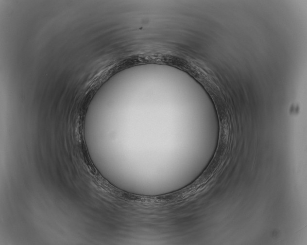 X0000090911060200707301028