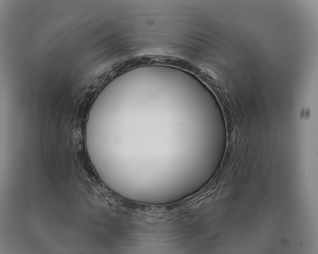 X0000090911062200707301028